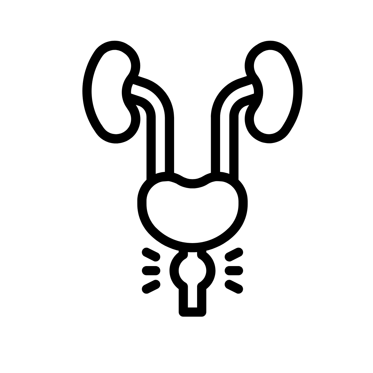 Alt Image